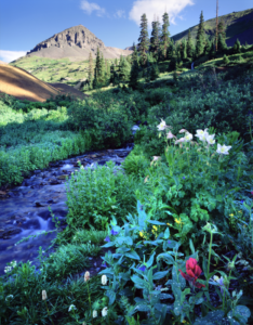 ouray